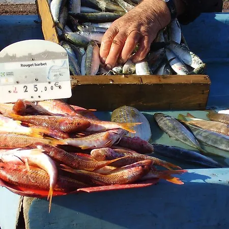 La Tarente Ceyreste